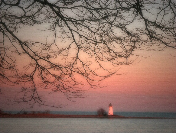 Branches and Lighthouse