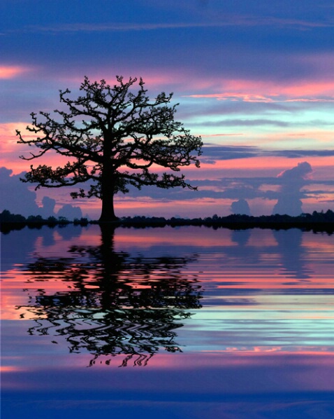 Reflected Silhouette - ID: 309196 © Sharon E. Lowe