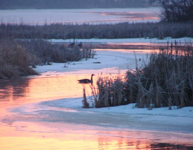 Sunrise on the Marsh