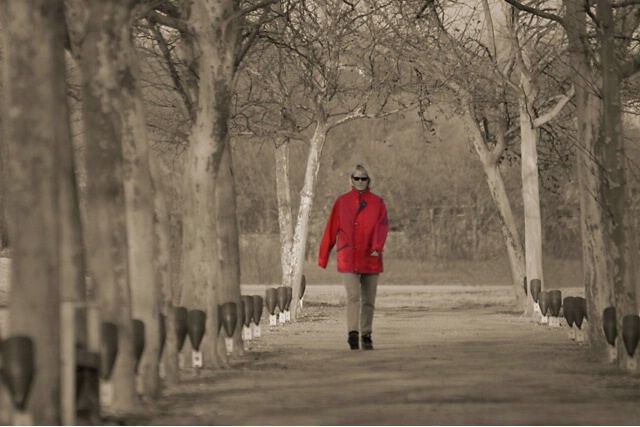 Lady in Red