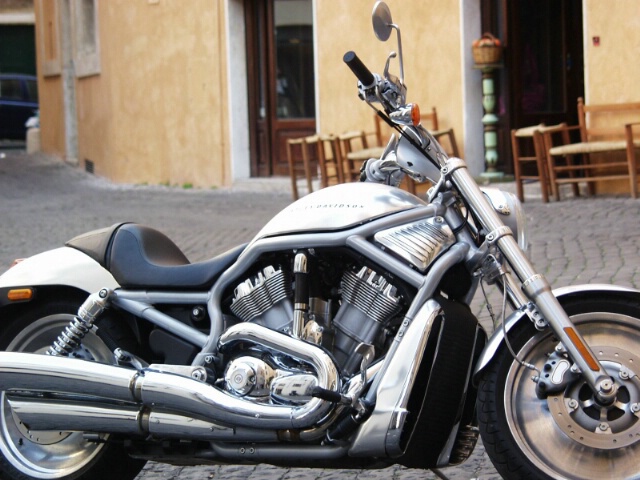 Harley 'n Rome