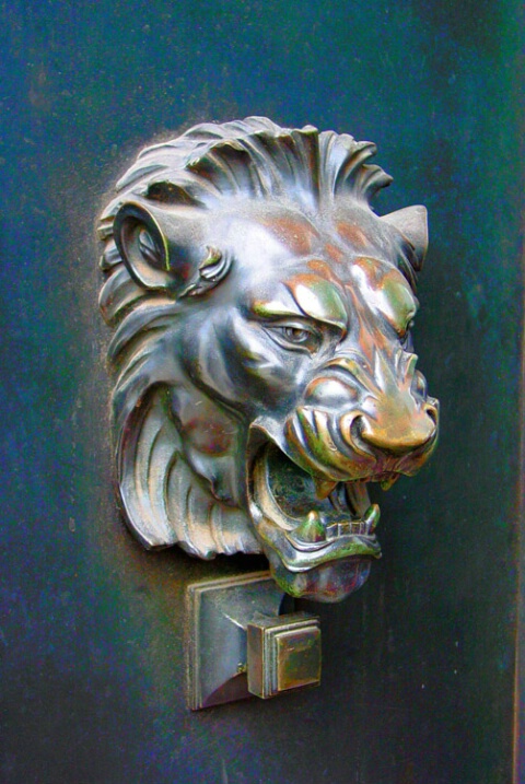 Door Lion