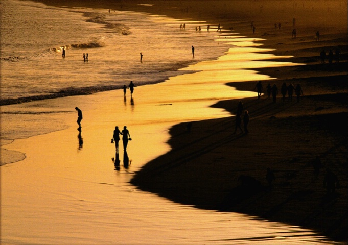 "Santa Cruz Beach Stroll"