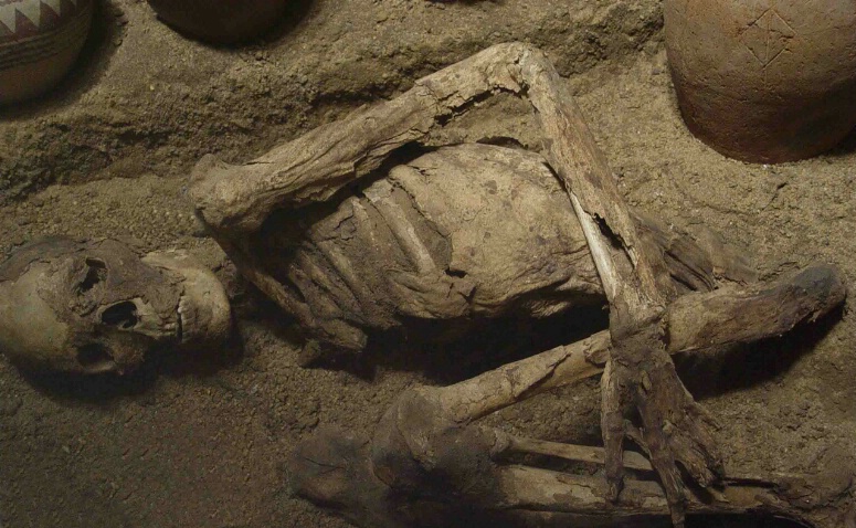 Egyptian Skeleton