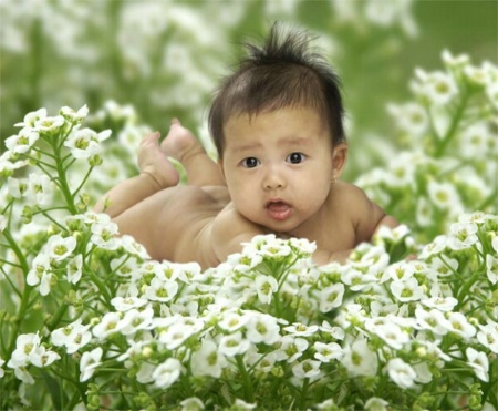 Baby on white flowers