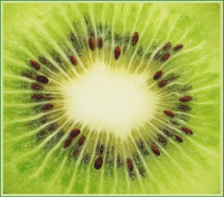 Kiwi