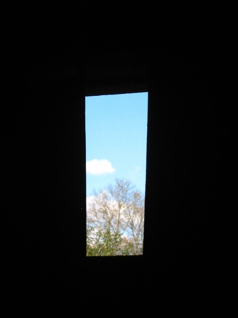 Window with a view...