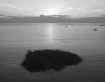 High Tide