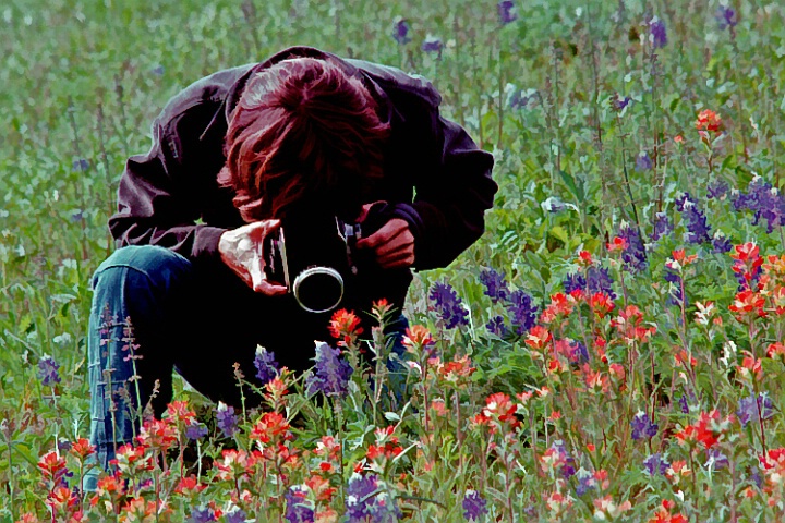 Wildflower Photographer