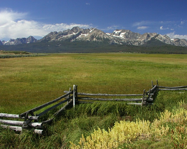Sawtooths and Fence
