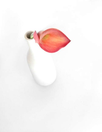 Calla with Vase