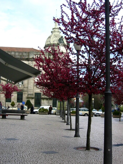 Braga - center