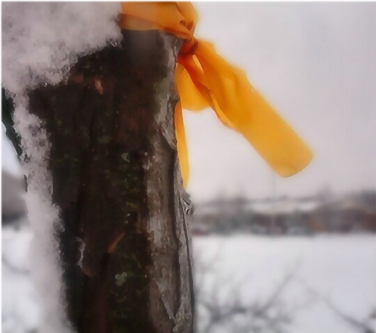 The Ribbon In the Snow