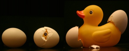 ~ A Rubber Duck is Born ~