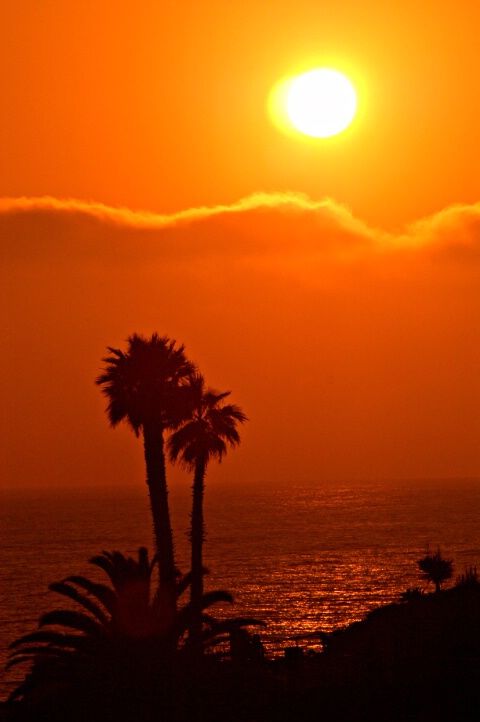 LA Hot Sunset