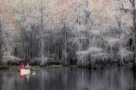 Canoeing on Caddo Lake
