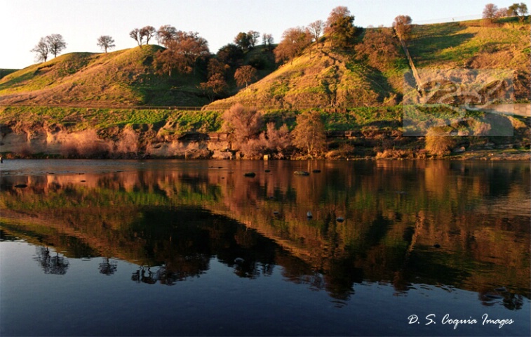 The Lake At Nimbus Dam