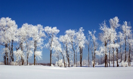 Row Of White