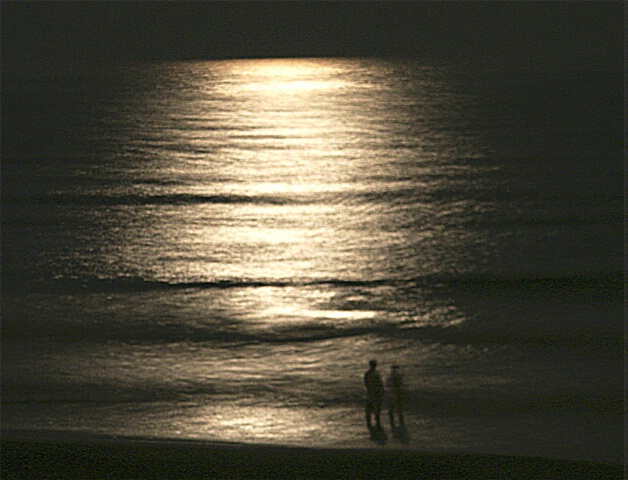 Moonlight Couple