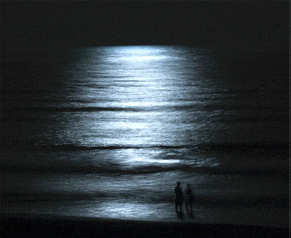 Moonlight Couple 2