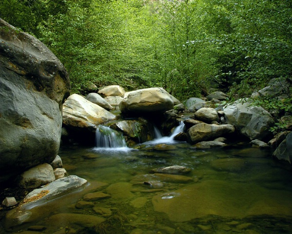 Matillija Creek