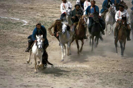 BuzKashi, horse running toward me - ID: 355763 © Cheryl  A. Moseley