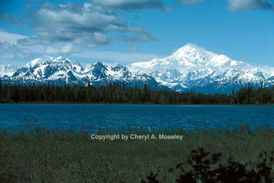 Denali (Mount McKinley) distant view - ID: 355781 © Cheryl  A. Moseley