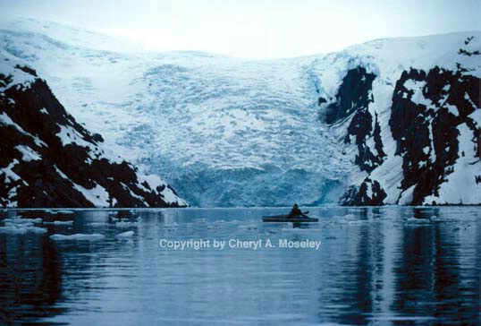 Kayaking Prince Wm. Sound  - ID: 355784 © Cheryl  A. Moseley