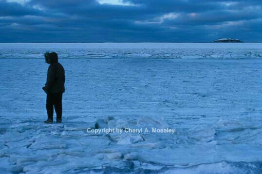 Ocean freeze 3 - ID: 355787 © Cheryl  A. Moseley