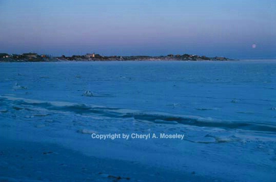 Ocean freeze beginning - ID: 355788 © Cheryl  A. Moseley