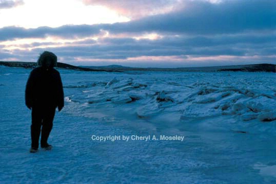Ocean shore freeze - ID: 355789 © Cheryl  A. Moseley