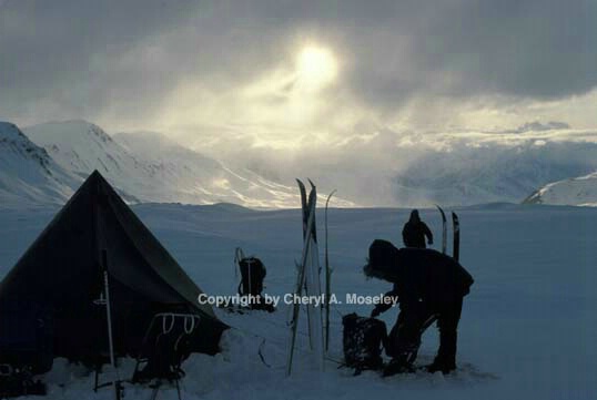 Snow camping, skiing Delta Range, Alaska - ID: 355791 © Cheryl  A. Moseley