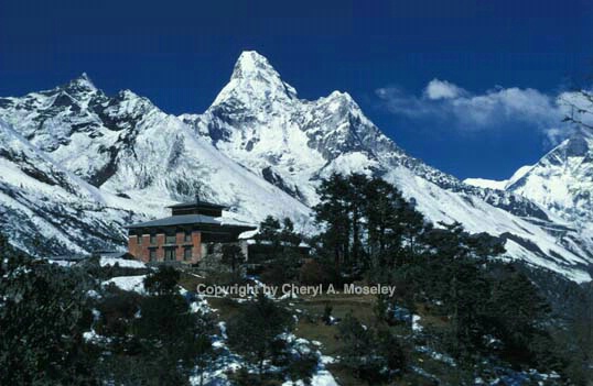 Ama Dablam w/Tangboche Monastery, Nepal - ID: 355828 © Cheryl  A. Moseley