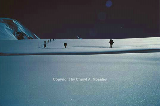Long narrow crevasse, roped team - ID: 355838 © Cheryl  A. Moseley
