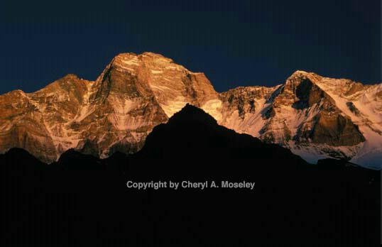 Sunset on Nanda Devi, Indian Himalayas - ID: 355840 © Cheryl  A. Moseley
