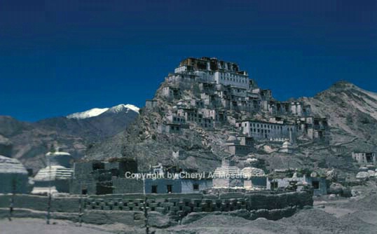 Tiksay, Ladakh - ID: 355865 © Cheryl  A. Moseley