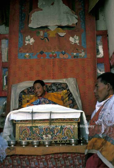 Young Tibetan Lama - ID: 355870 © Cheryl  A. Moseley