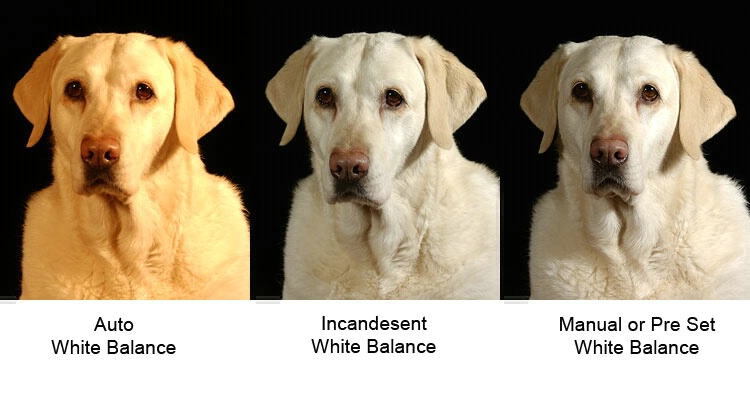 white balance examples