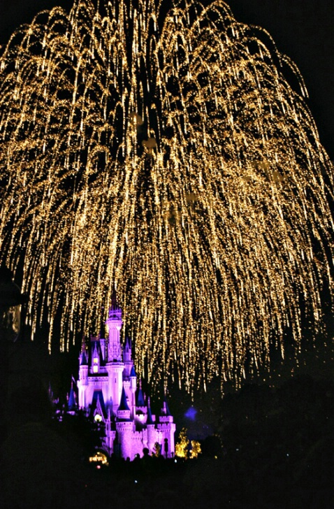 Fireworks over The Magic Kingdom