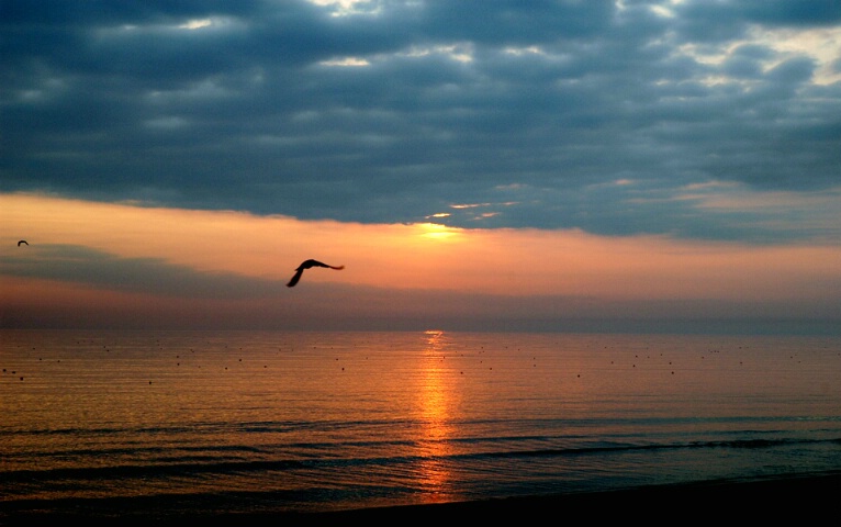 morning flight over the chesapeake