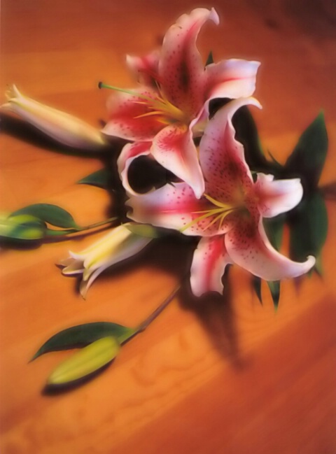 Lillies on the Table II