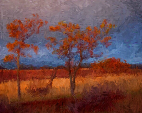 Trees in the Meadow - Impressionism - ID: 361589 © Sharon E. Lowe