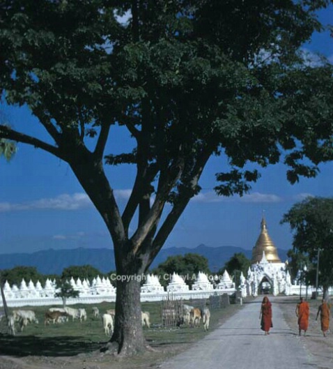 Monks on road to Mandalay, Burma.jpg - ID: 362400 © Cheryl  A. Moseley