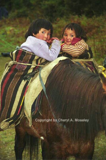 Papooses on horse, Bhutan 12-4.jpg - ID: 362418 © Cheryl  A. Moseley