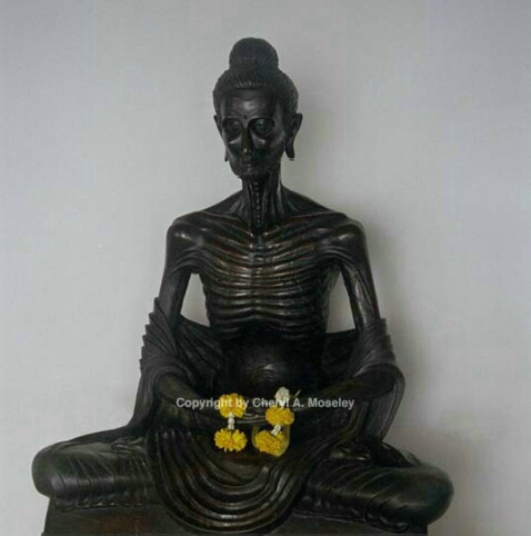 Ascetic Buddha,Thailand, 21-8 - ID: 362445 © Cheryl  A. Moseley