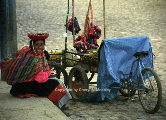 Quechua-speaking saleswoman 5-19 - ID: 362498 © Cheryl  A. Moseley