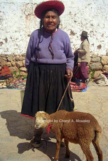 Elderly woman & lamb, 6-36 - ID: 362500 © Cheryl  A. Moseley