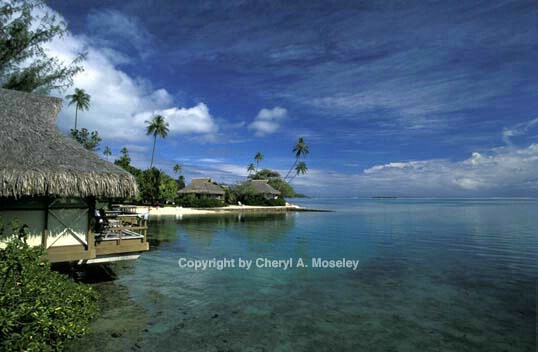 Moorea #1, Tahiti - ID: 362523 © Cheryl  A. Moseley