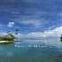 © Cheryl  A. Moseley PhotoID# 362524: Morrea #2, Tahiti