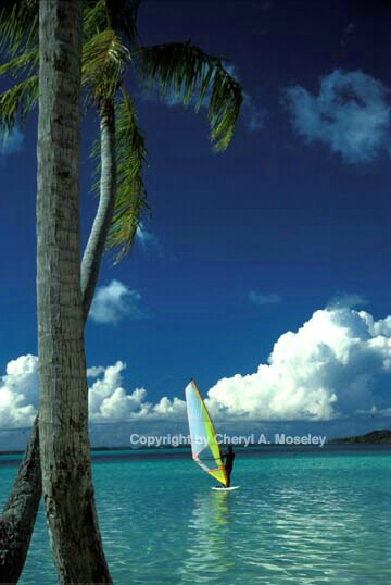 Tahiti windsurfer - ID: 362525 © Cheryl  A. Moseley